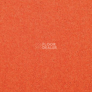 Ковровая плитка Modulyss Cambridge Xtra 25 f фото 1 | FLOORDEALER